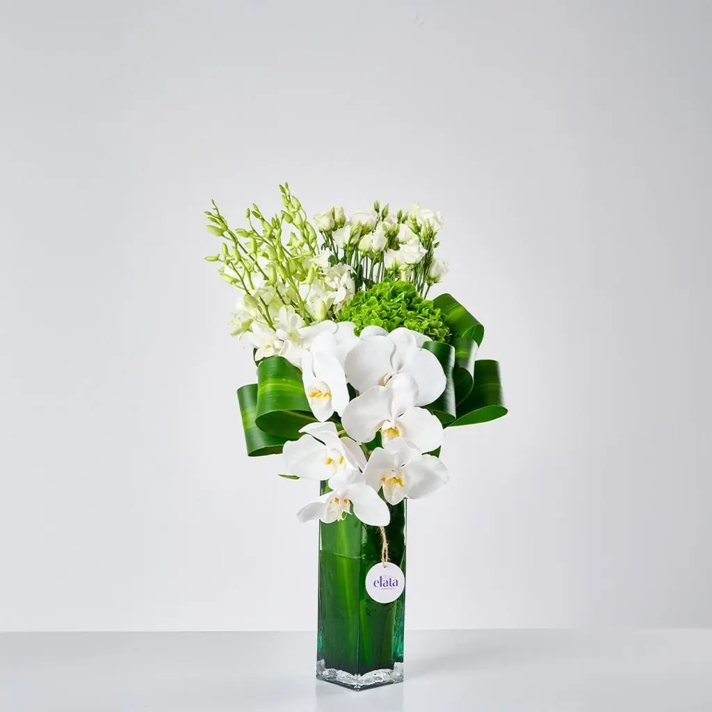 Amber White Vase
